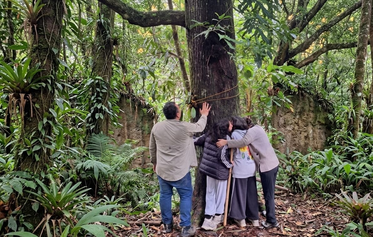 Familia abrazando un árbol ancestral en el bosque de niebla de Ayotzinapan